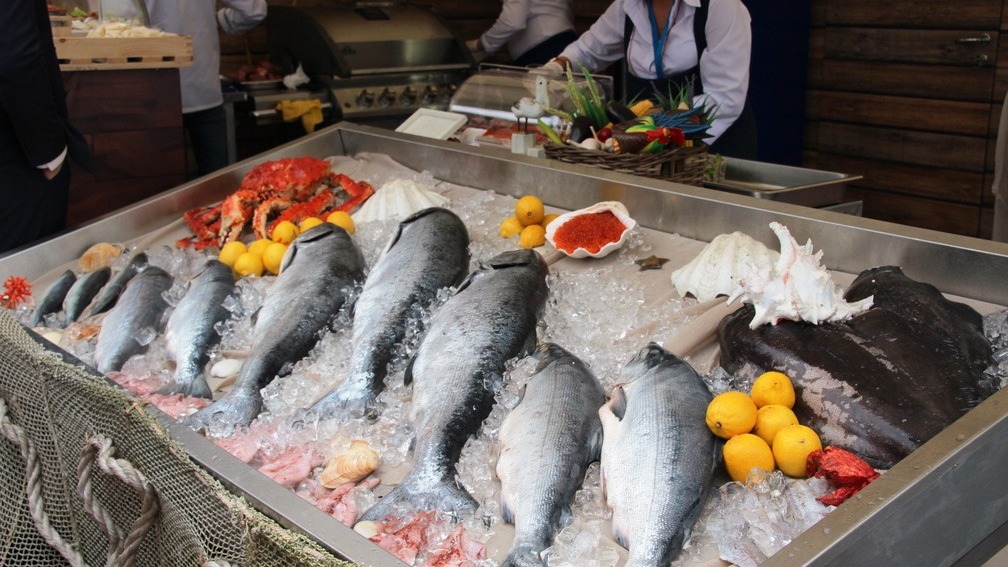 Школьники при помощи Genotek проверяли на фальсификат рыбу и морепродукты