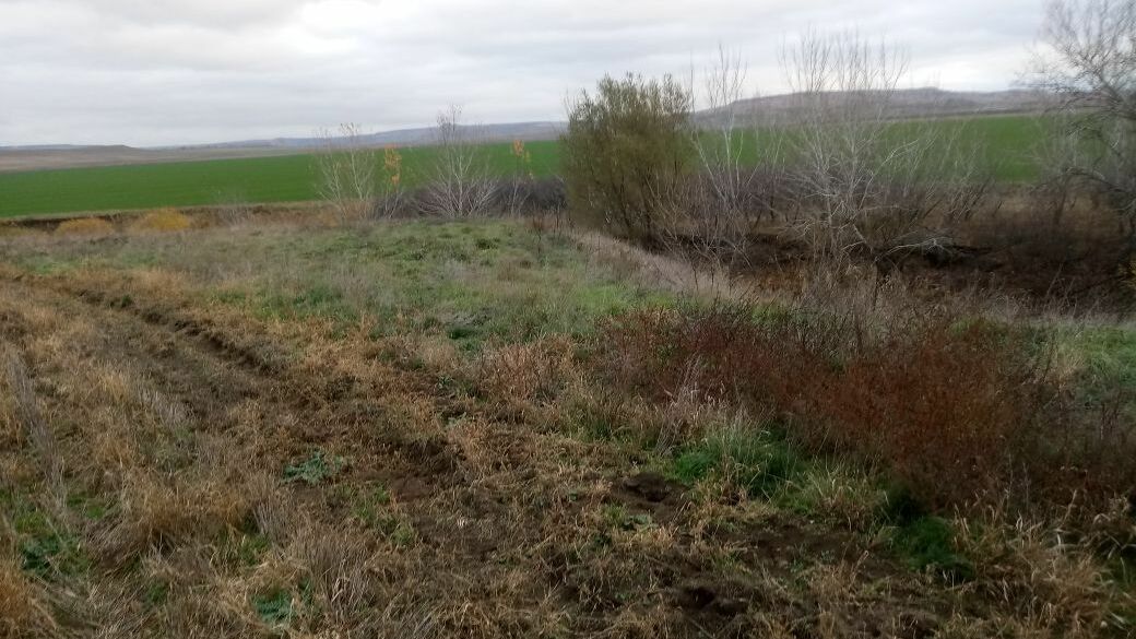 На Ставрополье за распашку земли у реки Калаус ответит фирма олигарха Махмудова