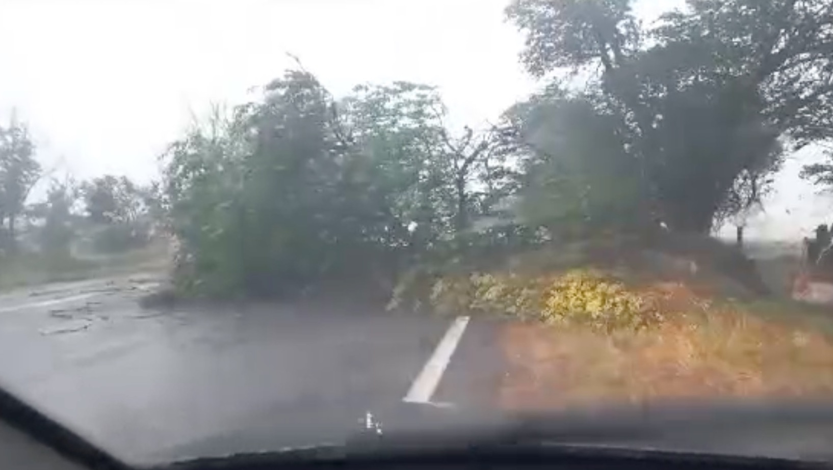 Дерево рухнуло на трассу из-за урагана и заблокировало проезд на Ставрополье