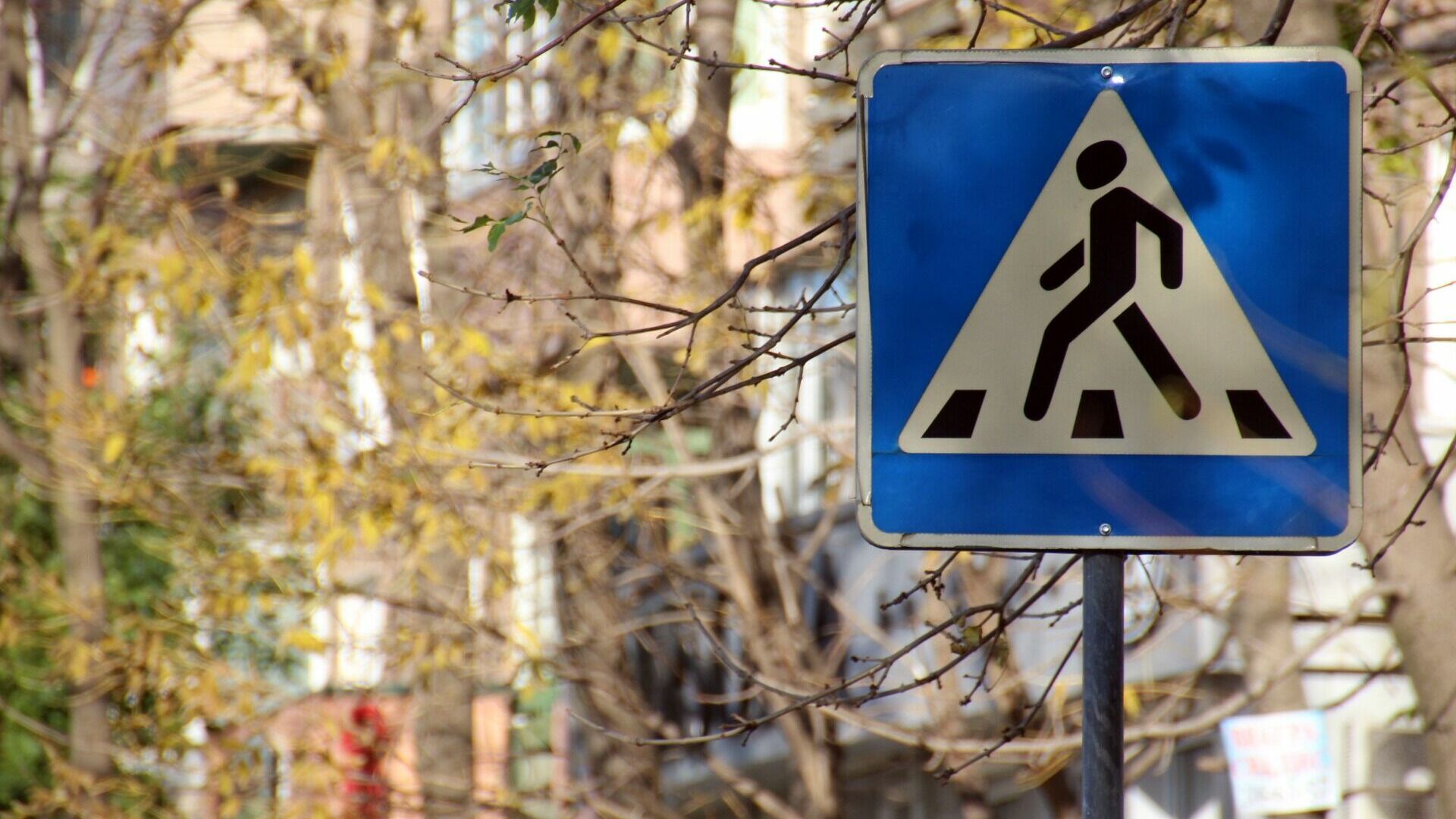 Нежелание дойти до пешеходного перехода закончилось аварией в Пятигорске