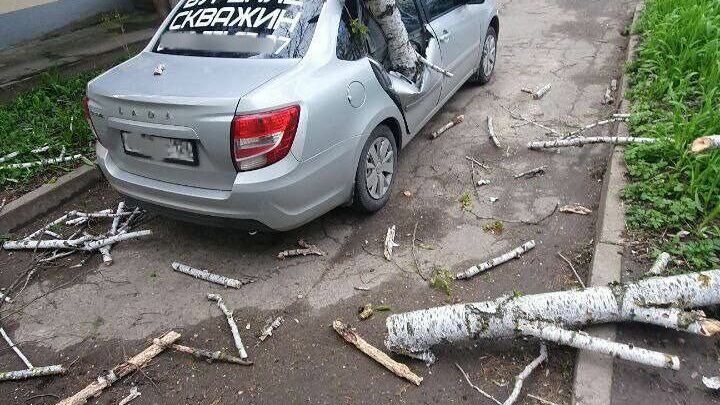 Ветер на Ставрополье сносит остановки и валит деревья на автомобили