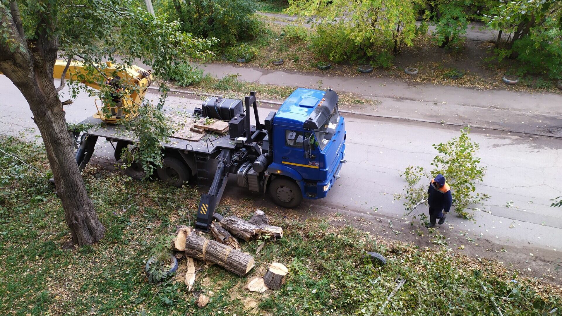 В Ставрополе не исключают снос деревьев для расширения дорог