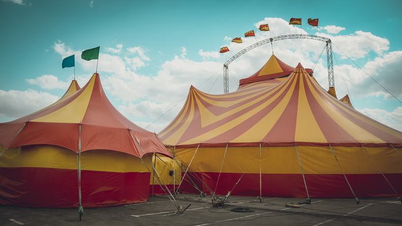Губернатор назвал причину невозможности сделать капремонт в цирке Ставрополя