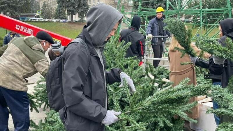 Новогоднюю елку на площади в Пятигорске установят к 1 декабря