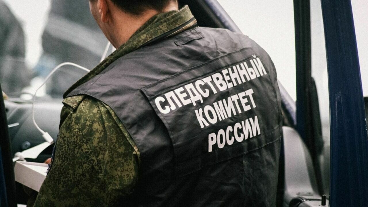 Расследование дела об ударе нагайкой «кадетке» Ставрополя засекречено