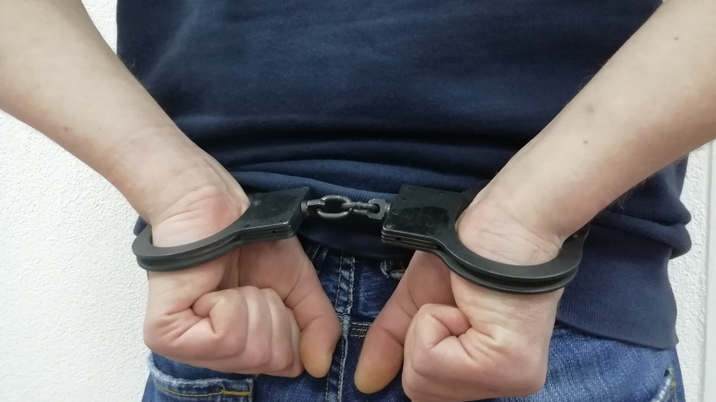 В Северную Осетию из Франции экстрадирован обвиняемый в мошенничестве с маткапиталом
