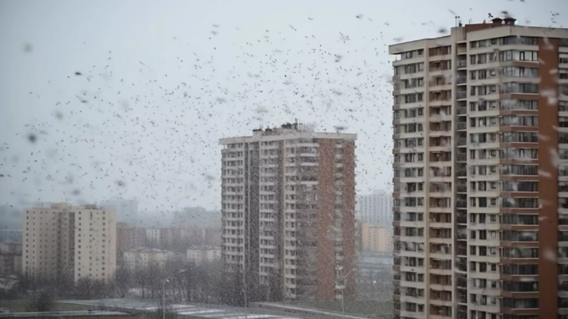 Мокрым снегом накроет на выходных Ставрополье