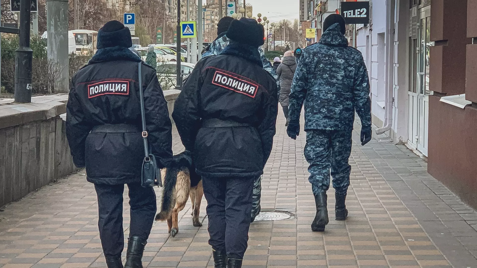 Полиция начала проверку после массового отравления собак на Ставрополье