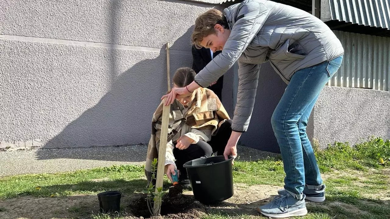 Дети из Белгорода высадили саженцы сирени в школах Пятигорска