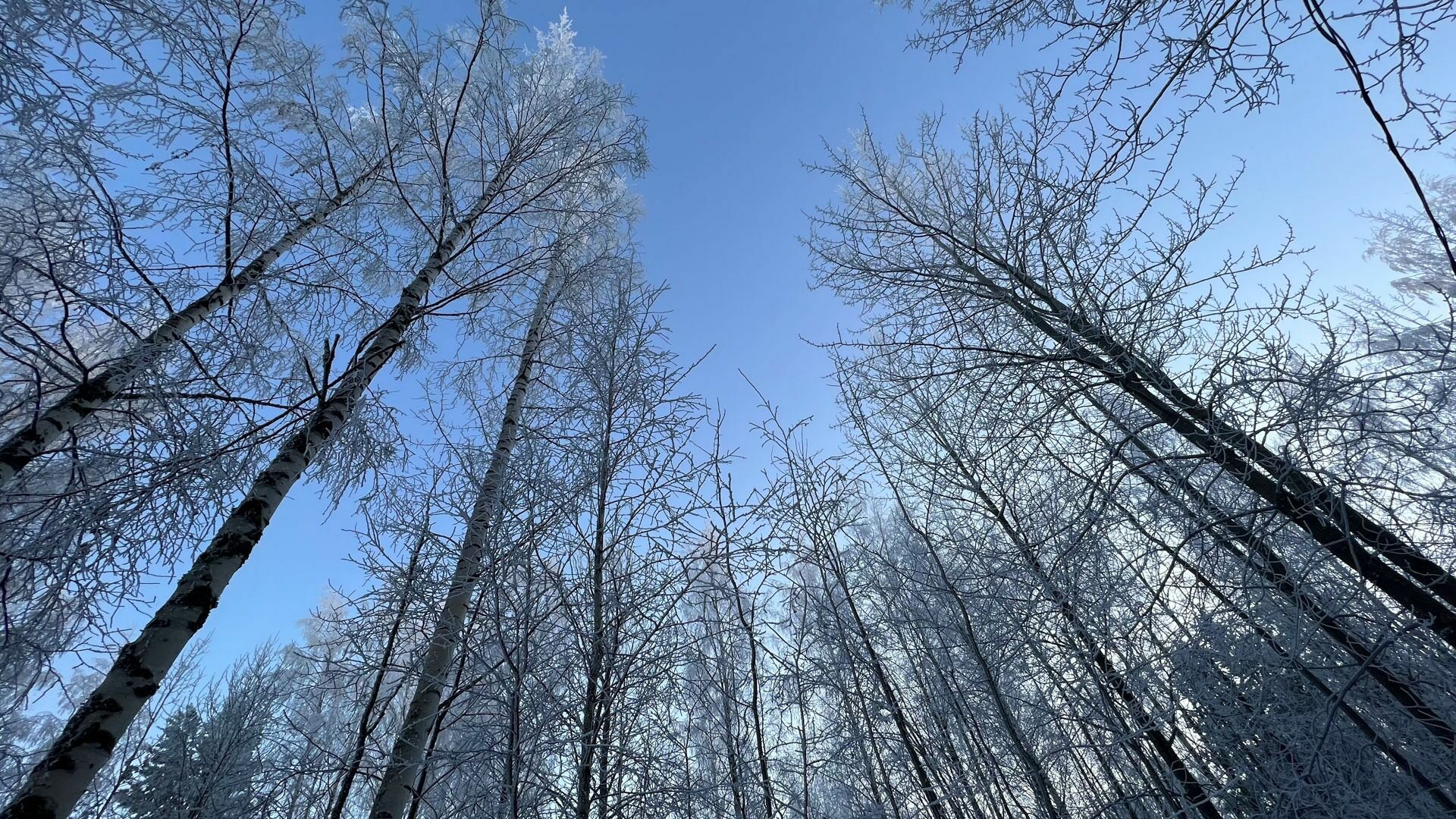 На Ставрополье в ближайшие дни ожидаются снег и сильный ветер