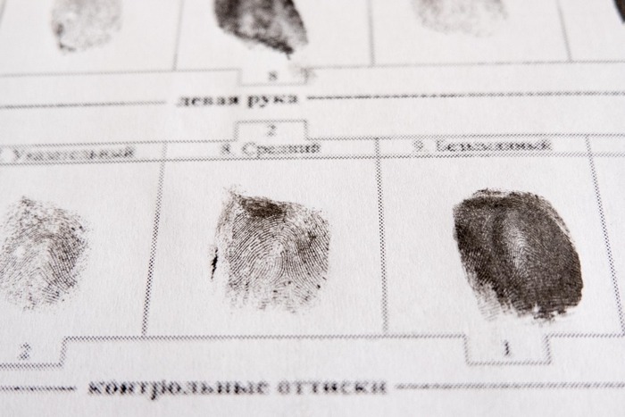 В Ставрополе полицейские завели уголовное дело на основе несуществующего документа