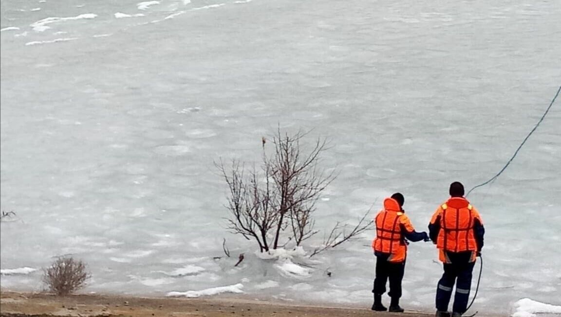 На Ставрополье спасатели собрали три тысячи трупов птиц на Дундинском водохранилище