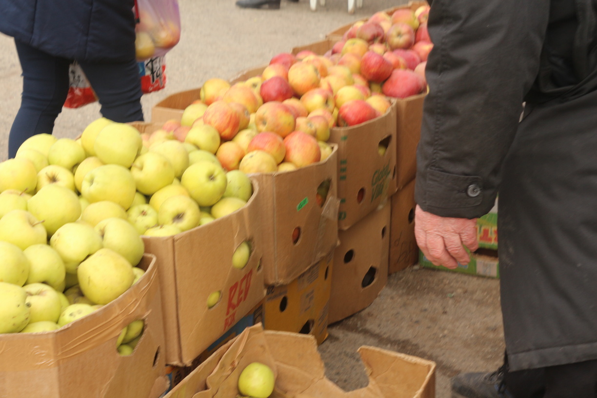 Ставропольцы не нашли обещанных властью по 20 рублей яблок на рынке