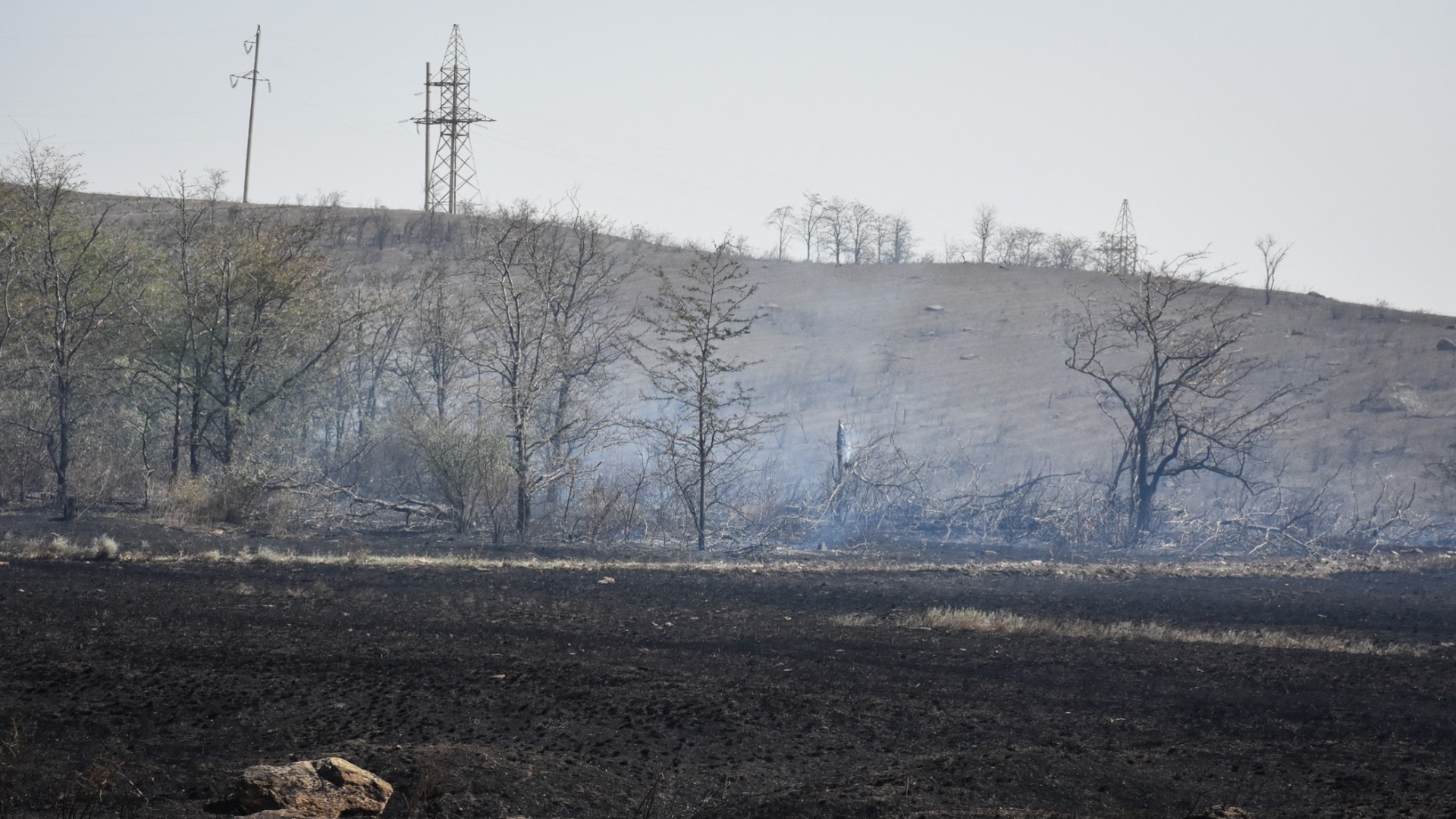 Больше 50 раз за сутки спасатели выезжали тушить пожары на Ставрополье