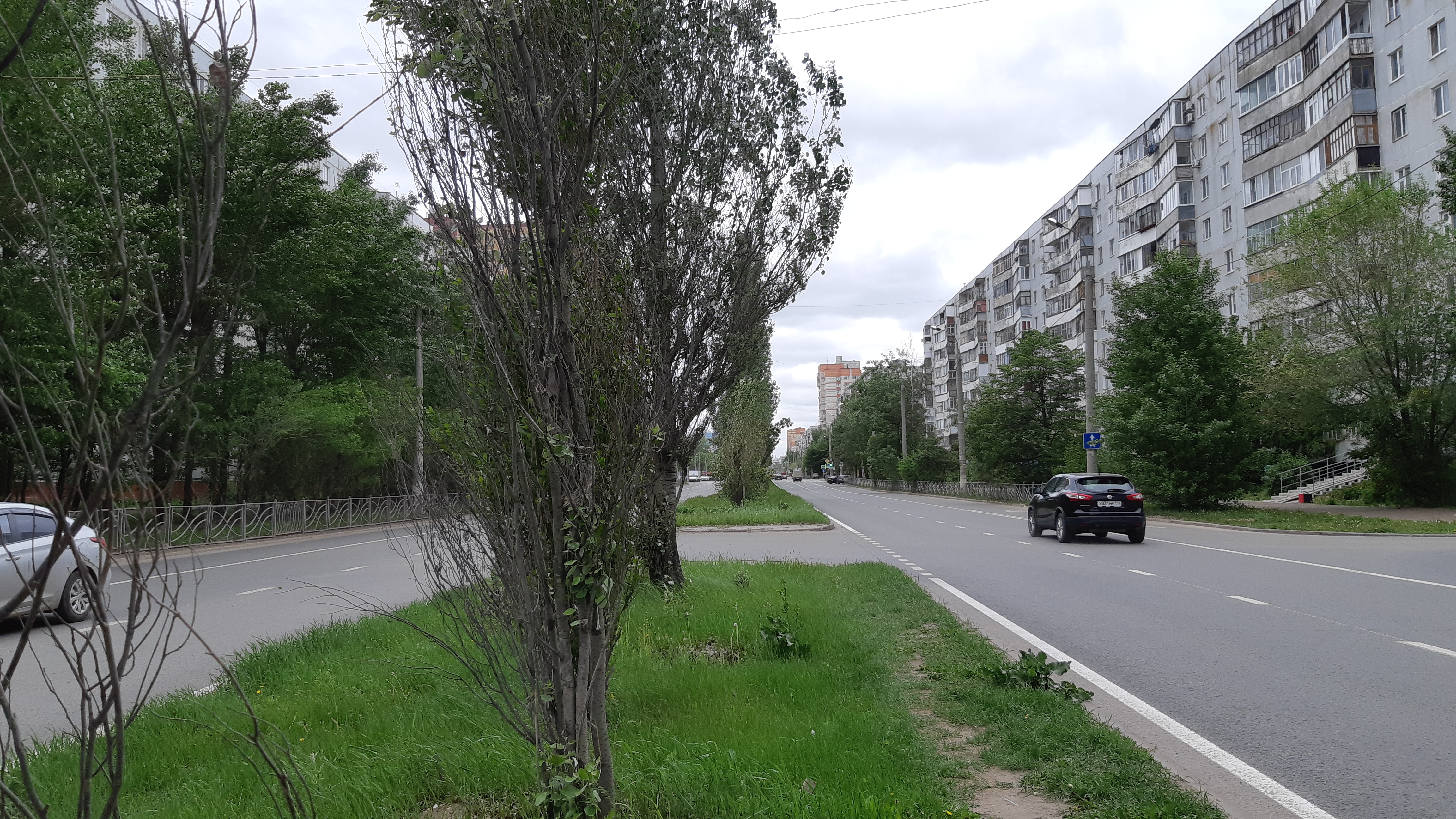 Новую дорогу на выезде из Ставрополя от оползня защитят высадкой деревьев